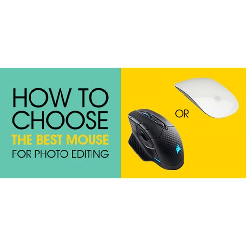 companion Grind Flash 11 Best Mouse For Photo Editing In 2020 And How To Choose | HomiesFoto
