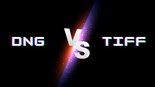 TIFF vs DNG: Which Is Better For You? (It depends) | Homiesfoto